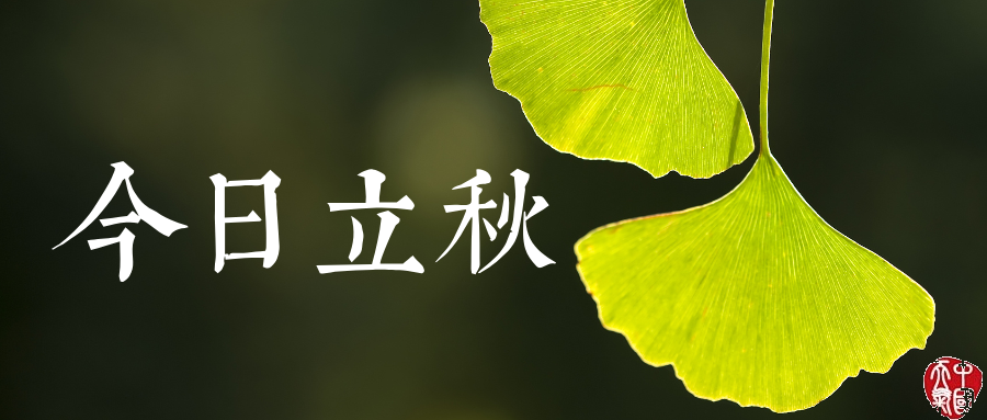 今日立秋，暑热依旧